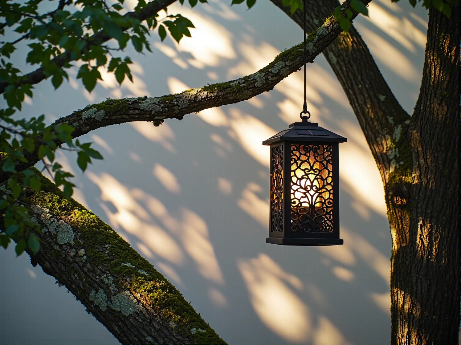 Energooszczędne lampy solarne LED wyznaczające ścieżkę w ogrodzie o ograniczonym dostępie światła